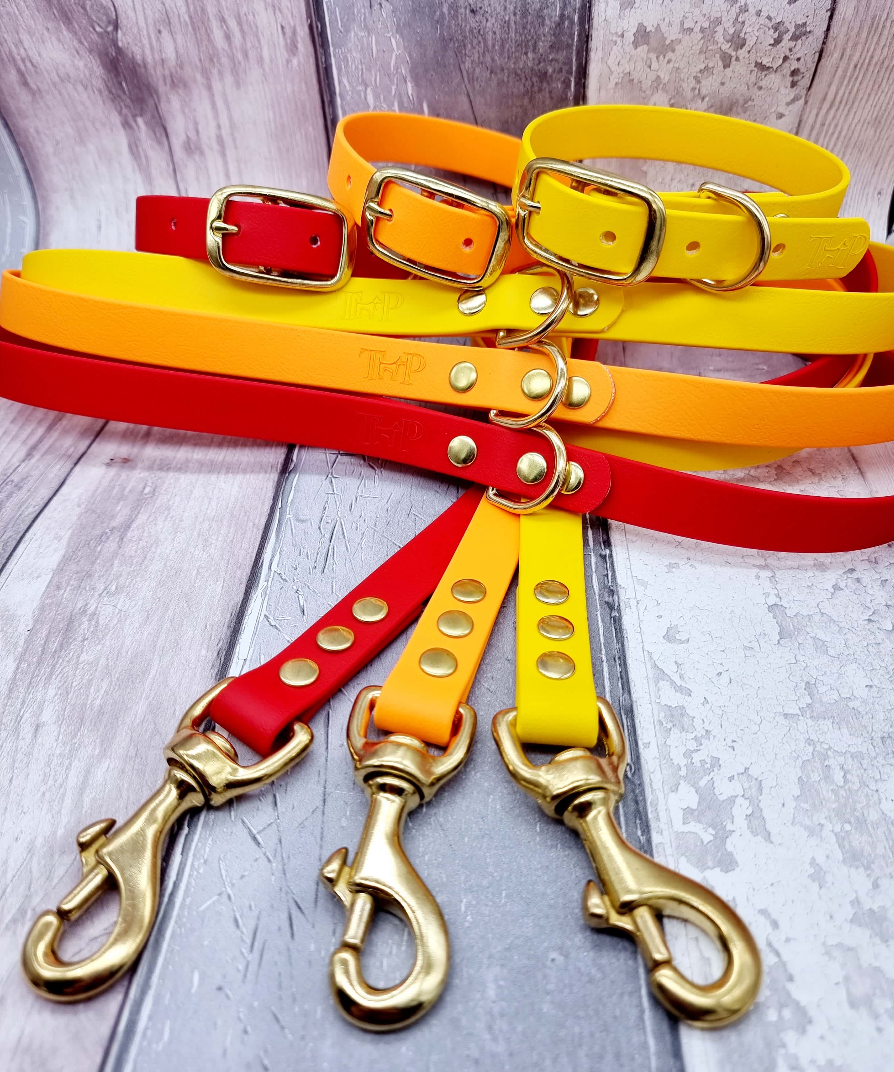 Red, yellow and orange Biothane dog leads and collars