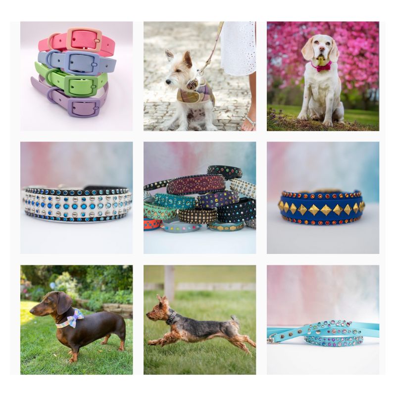 Screenshot of instagram search using #aemakespets