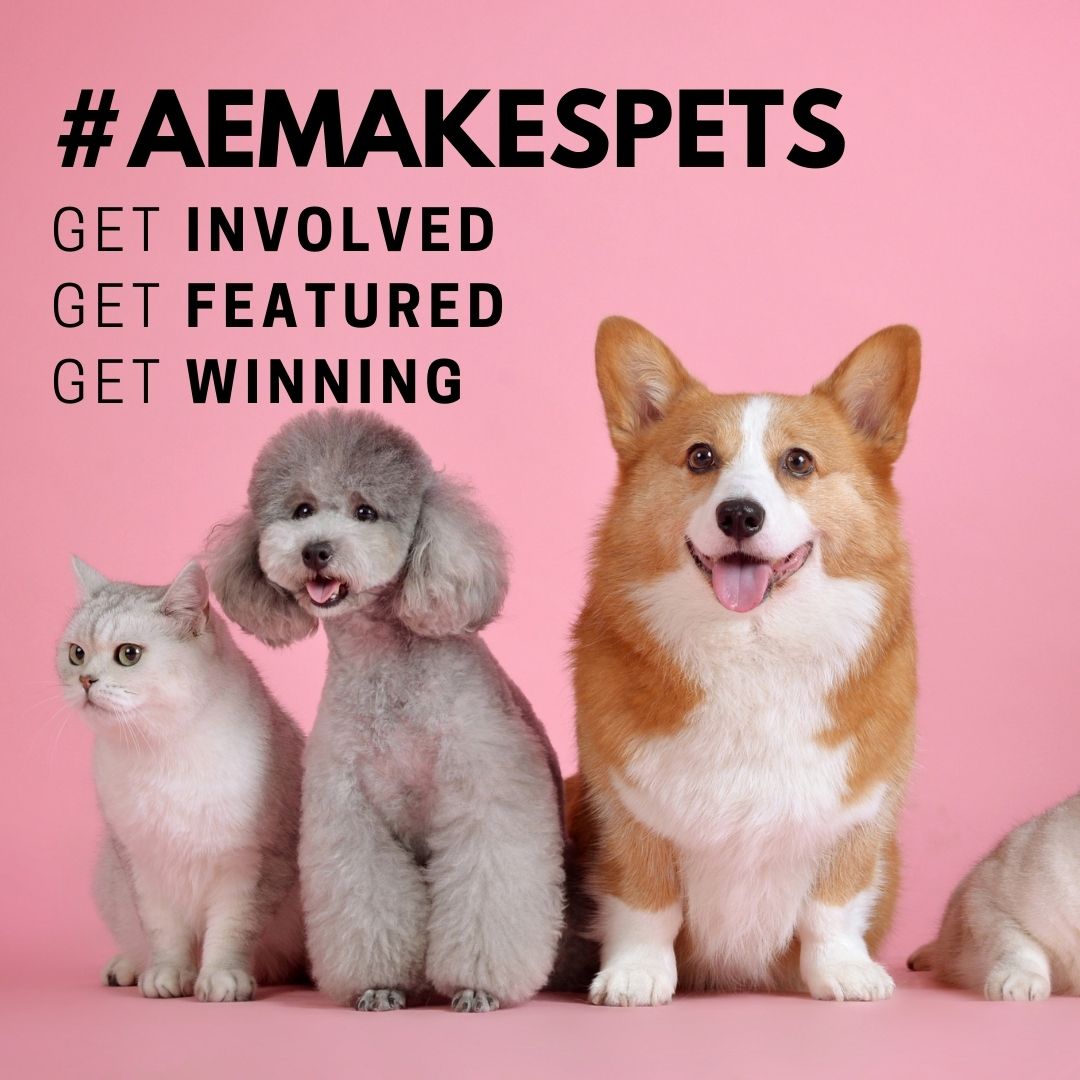 pink background with dogs on and a cat with the words #AEMAKESPETS GET INVOLVED, GET FEATURED, GET WINNING