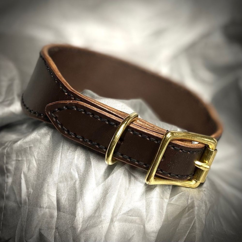 Dark brown leather dog collar with brass fittings