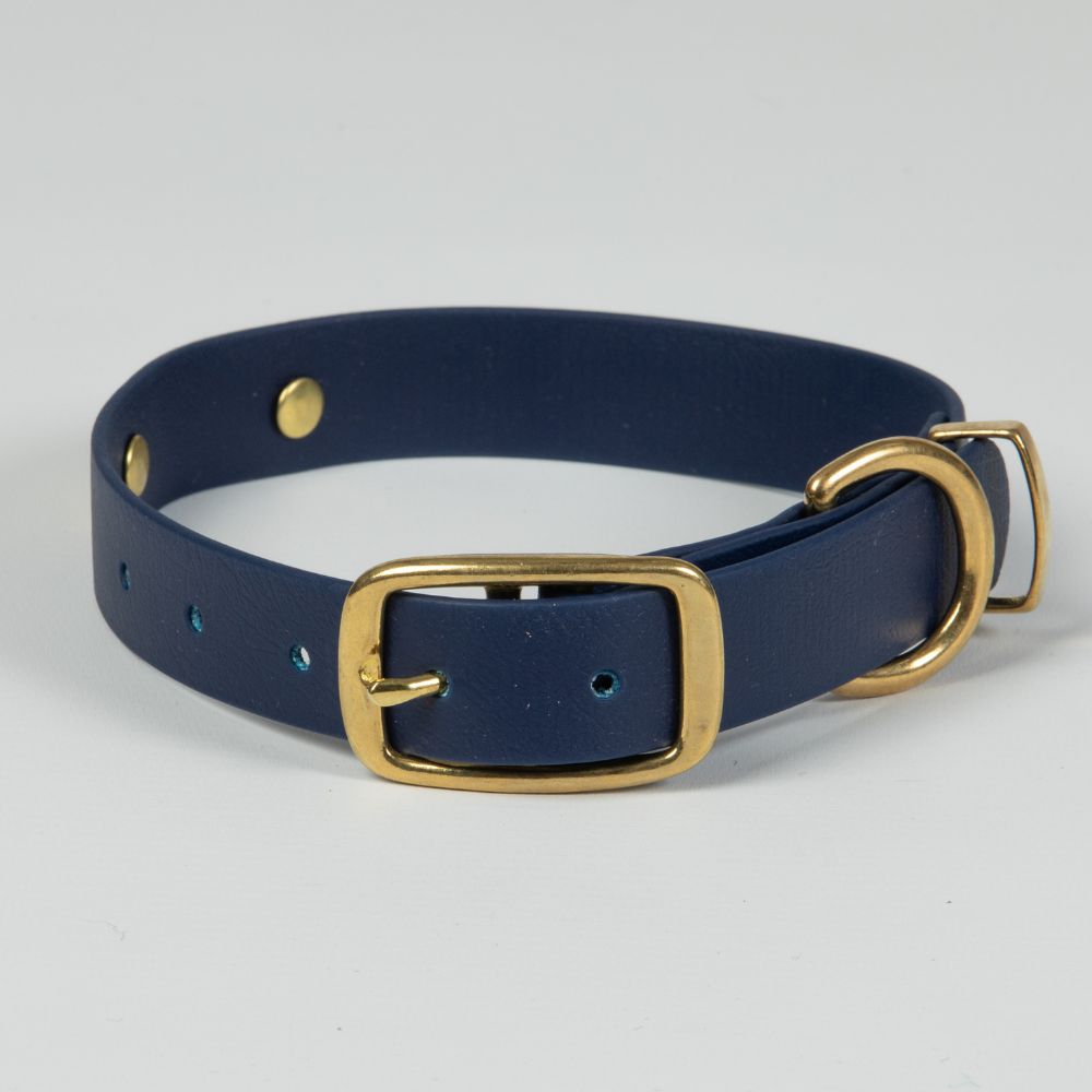 Navy blue dog collar with brass fittings 